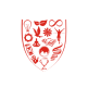 JECRC University, Jaipur